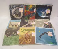 COLLECTION OF VINTAGE LP RECORDS - SEE LIST